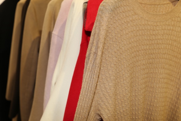 &ldquo;絲駝&rdquo;又一鐘情于駝絨產(chǎn)業(yè)的企業(yè)，綻放2023intertextile