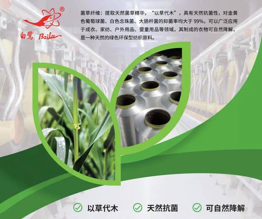 以草代木、天然抗菌、可自然降解，新鄉(xiāng)化纖開(kāi)創(chuàng)新的&ldquo;傳奇&rdquo;&mdash;&mdash;菌草纖維 