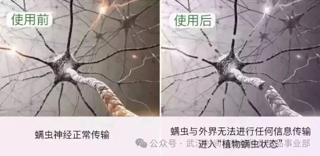  防螨！已成為健康的&ldquo;新剛需&rdquo;--武漢時(shí)間科技推出紡織品防螨整理劑喜化&reg;植螨零
